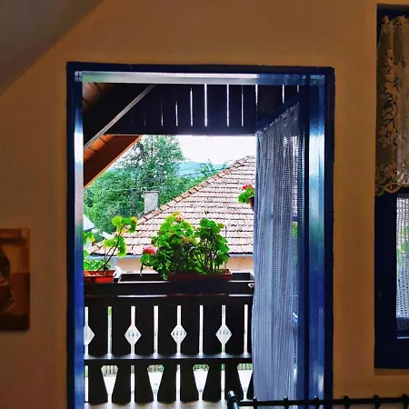 Casa Toth Hostel